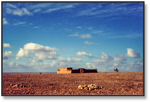 36- Sidi Mokhtar par ALAIN BELLAÏCHE.jpg